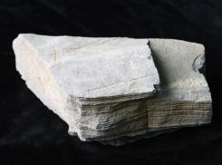 泥晶灰岩-Micrite Limestone