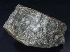 石英闪长玢岩-Quartz Dioritic Porphyrite