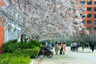 “七秩芳华，光影抒怀”师生摄影...