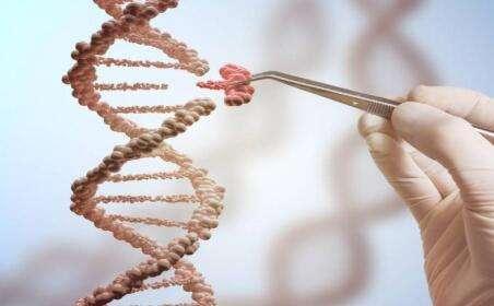 四华人美国科学院院士，三个是同一领域，这个领域正在爆发？