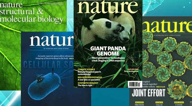 四华人美国科学院院士，三个是同一领域，这个领域正在爆发？